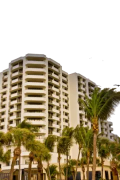 palm trees in front of the building