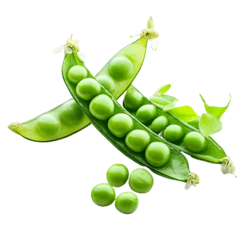 a bunch of green peas on a white background