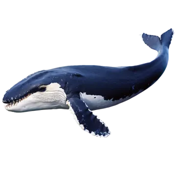 a blue whale swimming in the ocean