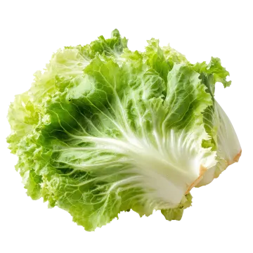 a lete leaf with green leaves on it