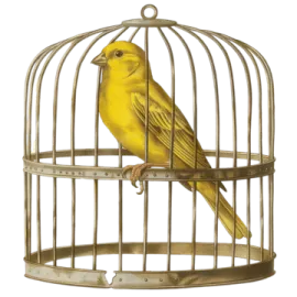 a bird in a cage on a white background