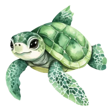 a watercolor painting of a green turtle