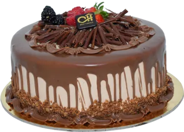 a chocolate covered cake on a white background