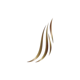 a white background with brown lines on it