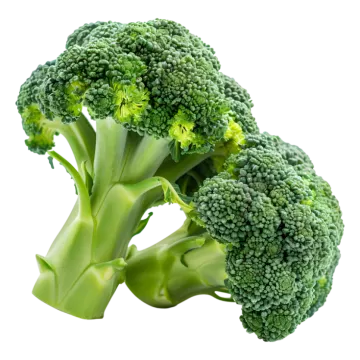 a close up of a bunch of broccole