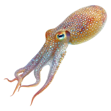 an octopus in the air with its mouth open