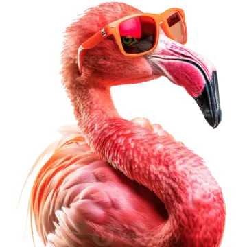 a close up of a pink flaming wearing sunglasses