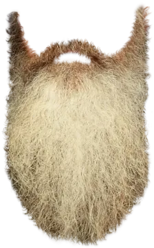 a close up of a beard on a white background