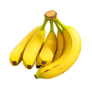 a bunch of bananas on a white background