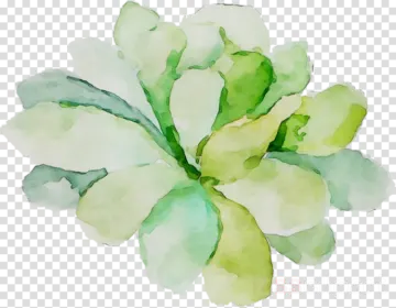 a watercolor painting of green leaves on transparent background