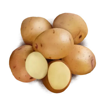 a pile of potatoes on a white background