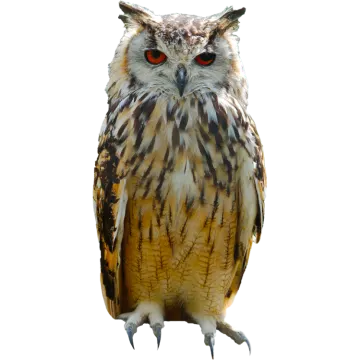 a close up of an owl with red eyes