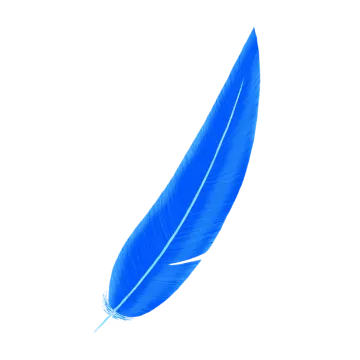 a blue feather on a white background