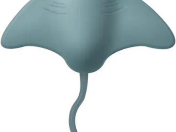 an image of a manta
