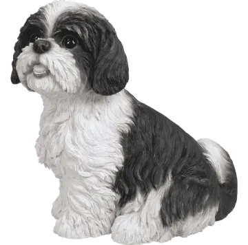 a black and white dog sitting on a white background