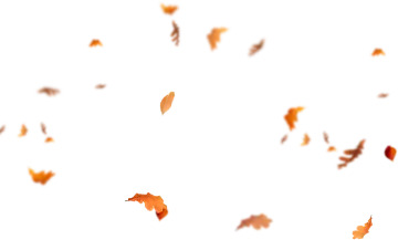 a group of leaves flying in the air