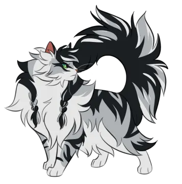 a black and white cat with green eyes