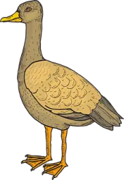 a drawing of a duck