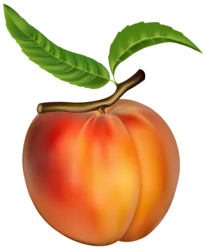 a peach with green leaves on it