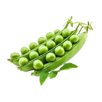 green peas on a white background