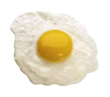 a fried egg on a white background