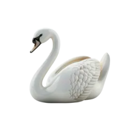 an image of a swan on a white background