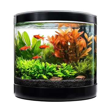 a fish tank filled with plants and water