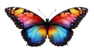 a colorful butterfly on a white background