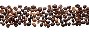 coffee beans on a white background