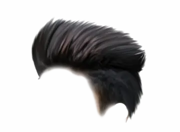 a black feather on a white background