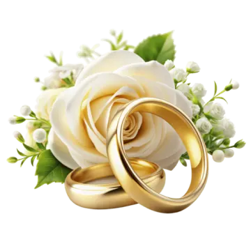 two gold wedding rings and a white rose
