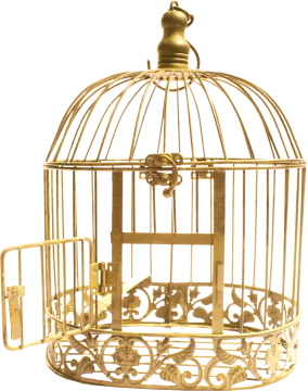 a gold bird cage with a clock inside