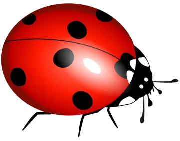 a lady bug with black spots on its back