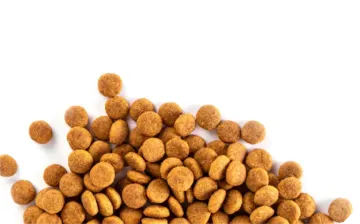 a pile of peanuts on a white background