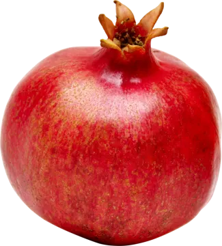 a red pome on a white background