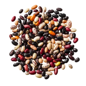 a pile of beans and beans