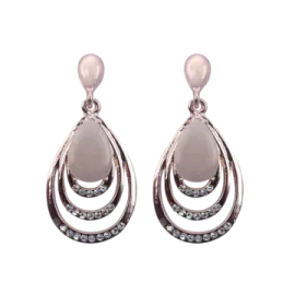 an image of a pair of earrings