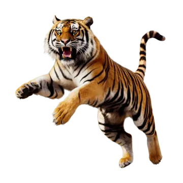 3d digital render of a jumping tiger isolated on white background