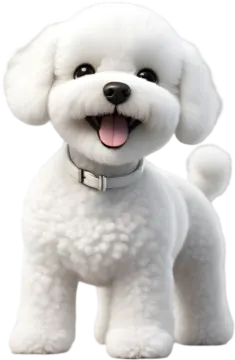 a small white dog with its tongue out