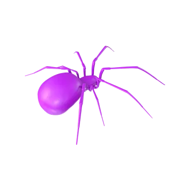 a purple spider on a white background