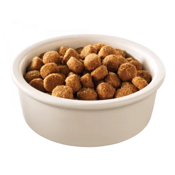 a white bowl filled with chicken nus