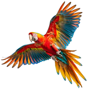 a colorful parrot flying through the air