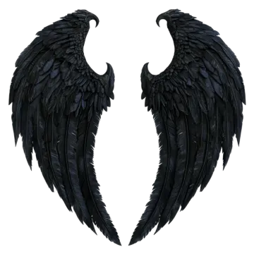 two black wings on a white background