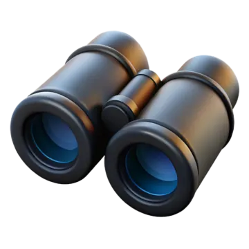 a pair of binoculars