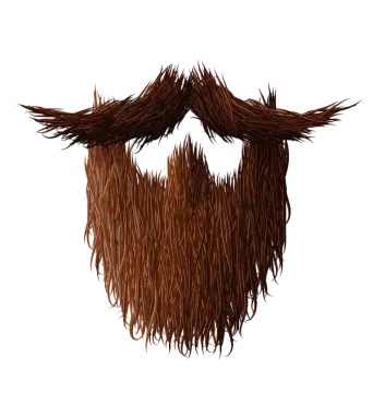 a drawing of a beard with long hair
