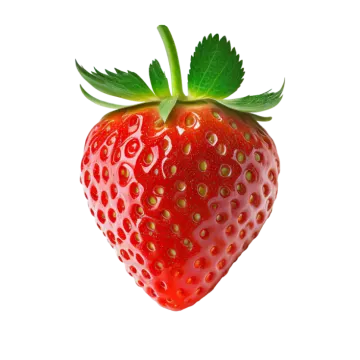 a strawberry on a white background