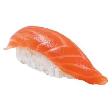 a piece of salmon on a white background