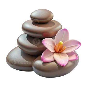 a pile of rocks with a flower on top