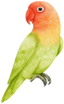 a watercolor painting of a parrot