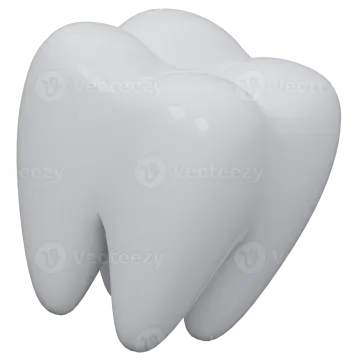 a tooth on a white background